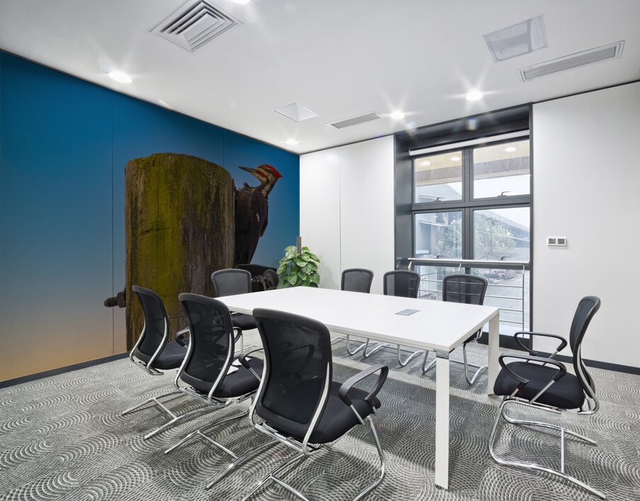 JBS 5368  Wall Printing