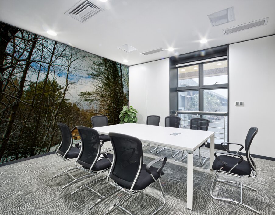 JBS 5227 Wall Printing