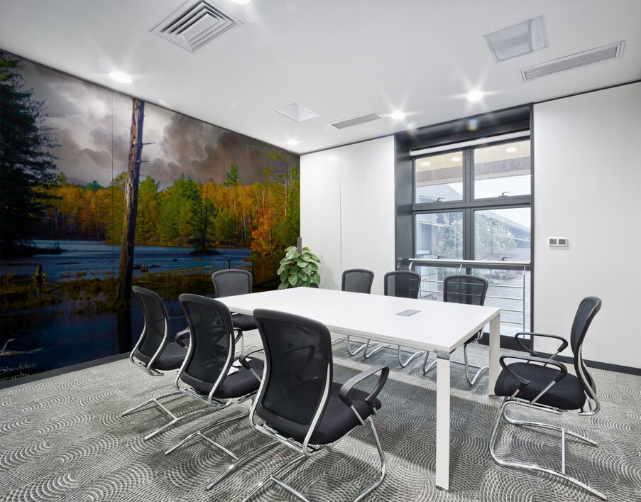  JBS4221 Wall Printing