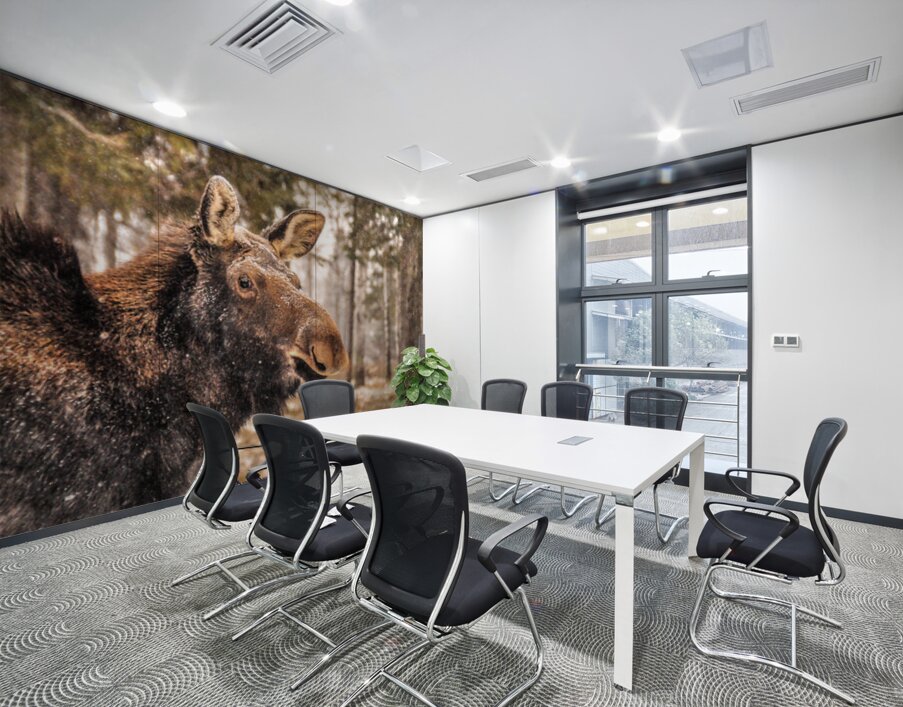 JBS 4902  Wall Printing