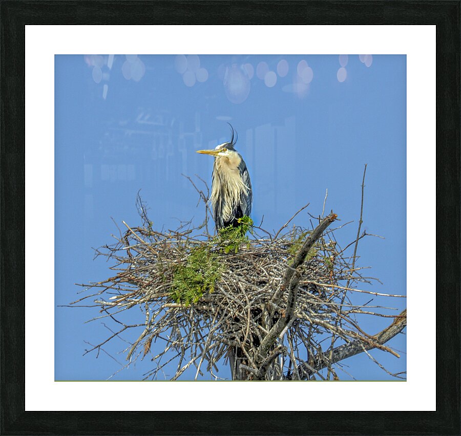 JBS 0860ED Picture Frame print