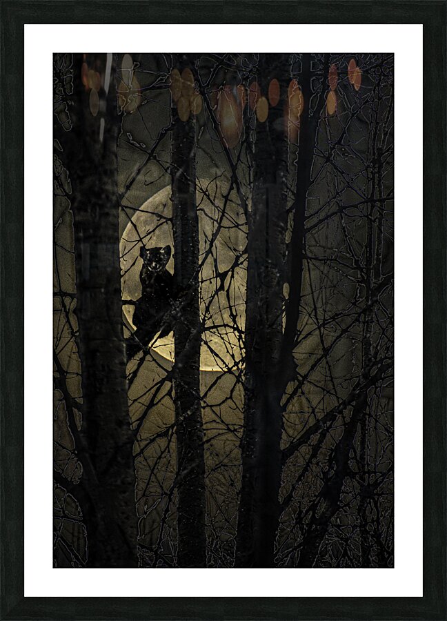 Pine Marten-101 Picture Frame print