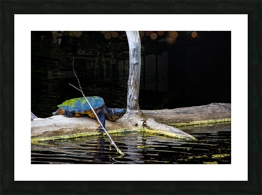 JBS 1007 Picture Frame print