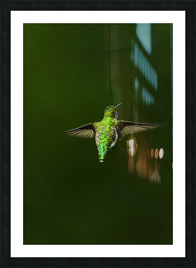 JBS 1467 Picture Frame print