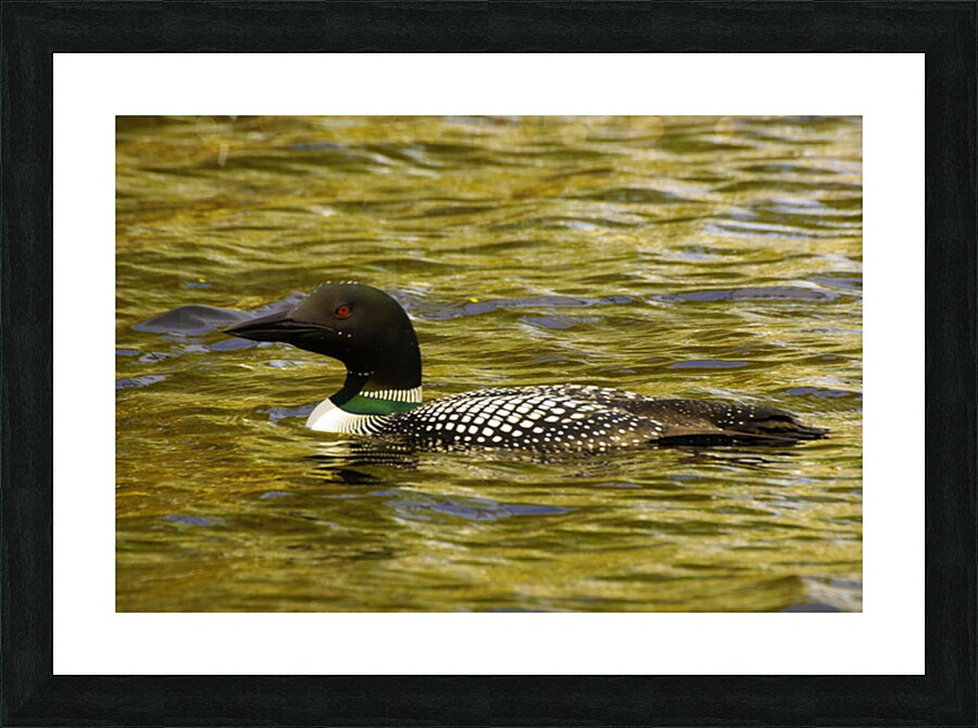 JBS 2224 Picture Frame print