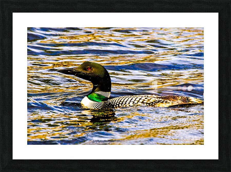 JBS 2215  Picture Frame print