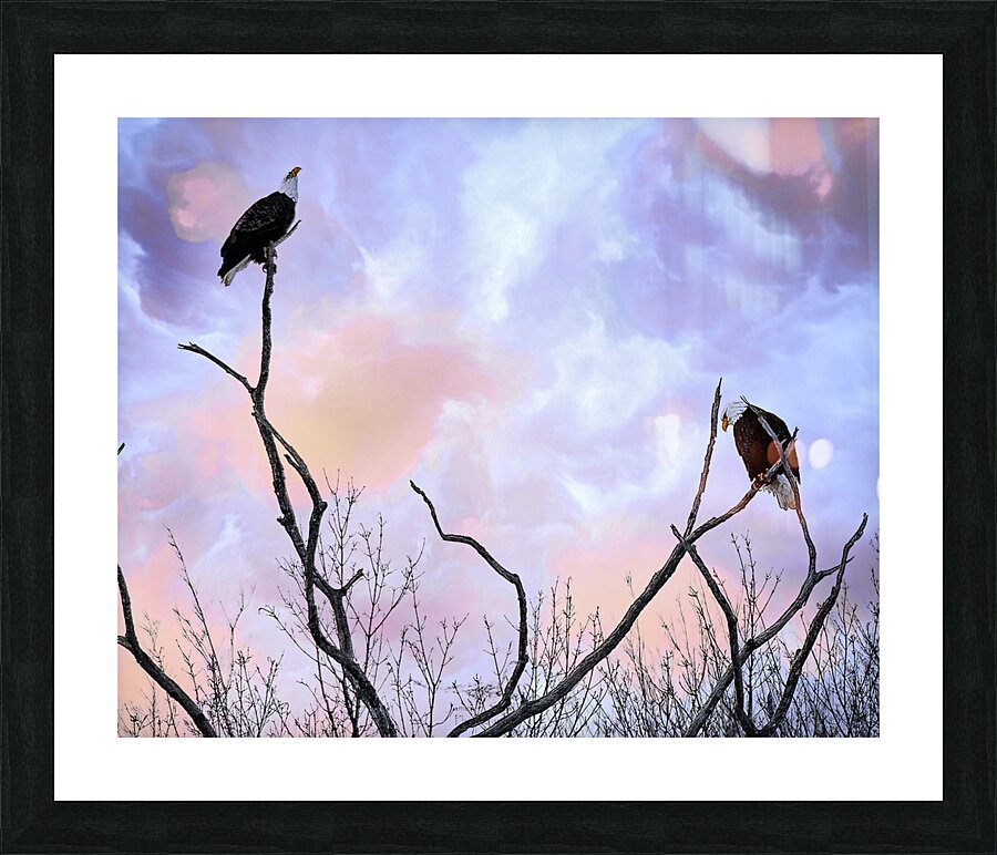 DSC 0357  Picture Frame print