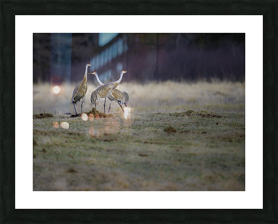 JBS 0650 Picture Frame print