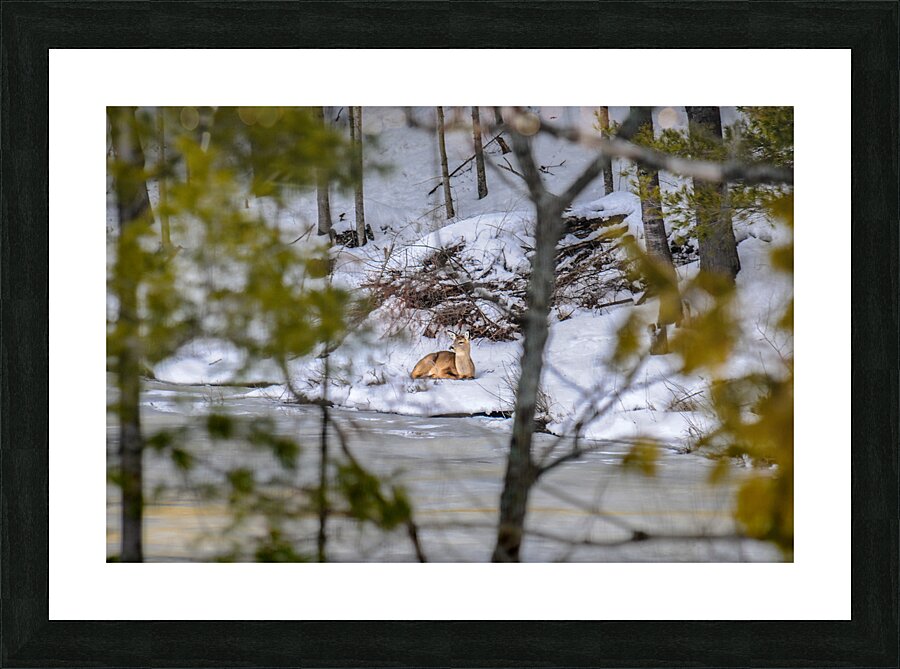  JBS5840 1 Picture Frame print