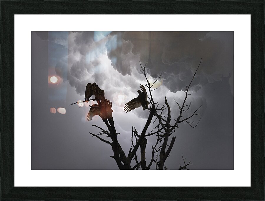 JBS 5291  Picture Frame print