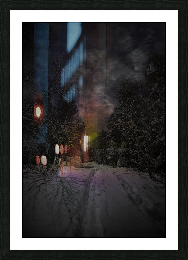 ZJS 6936  Picture Frame print