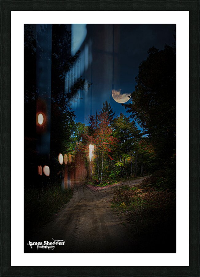 ZJS 8379  Picture Frame print