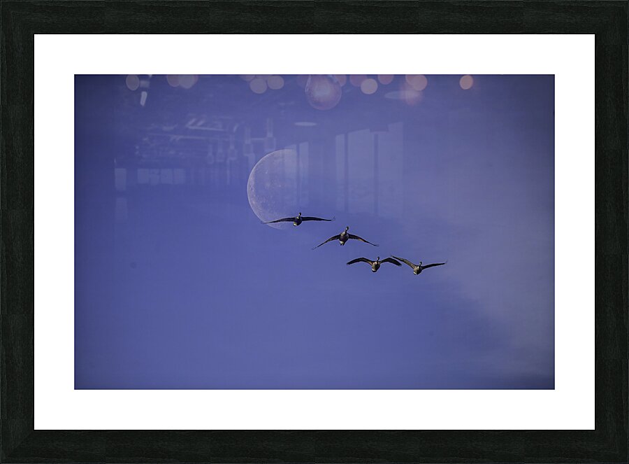 JBS 5264  Picture Frame print