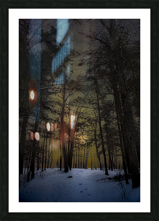 JBS 8747  Picture Frame print