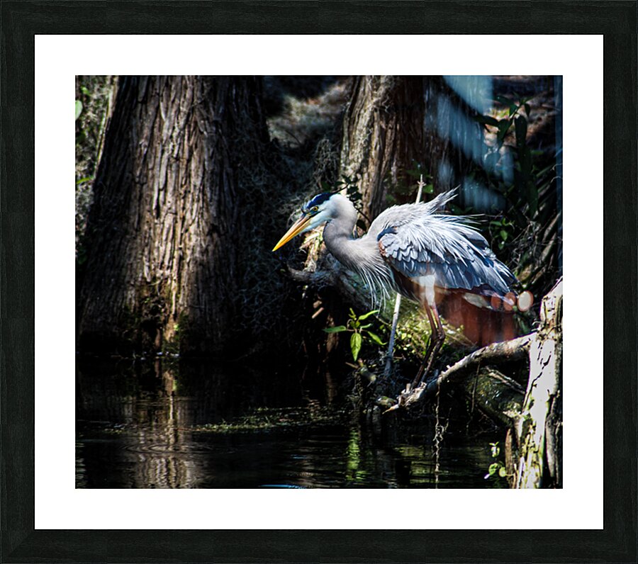 DSC 0216 2 Picture Frame print