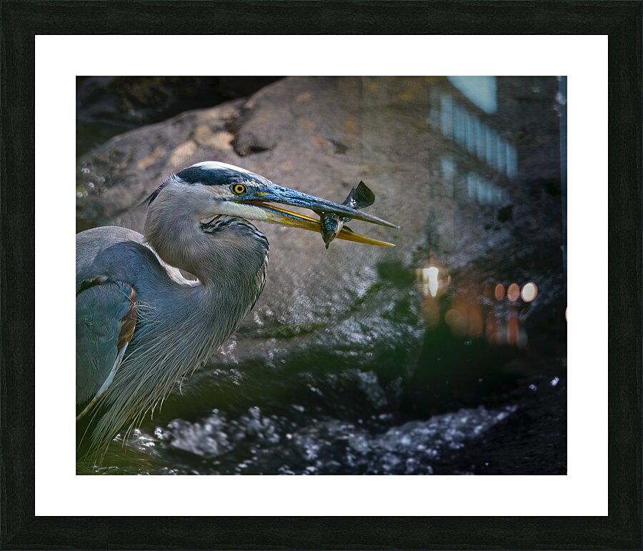 JBS 3491 Picture Frame print