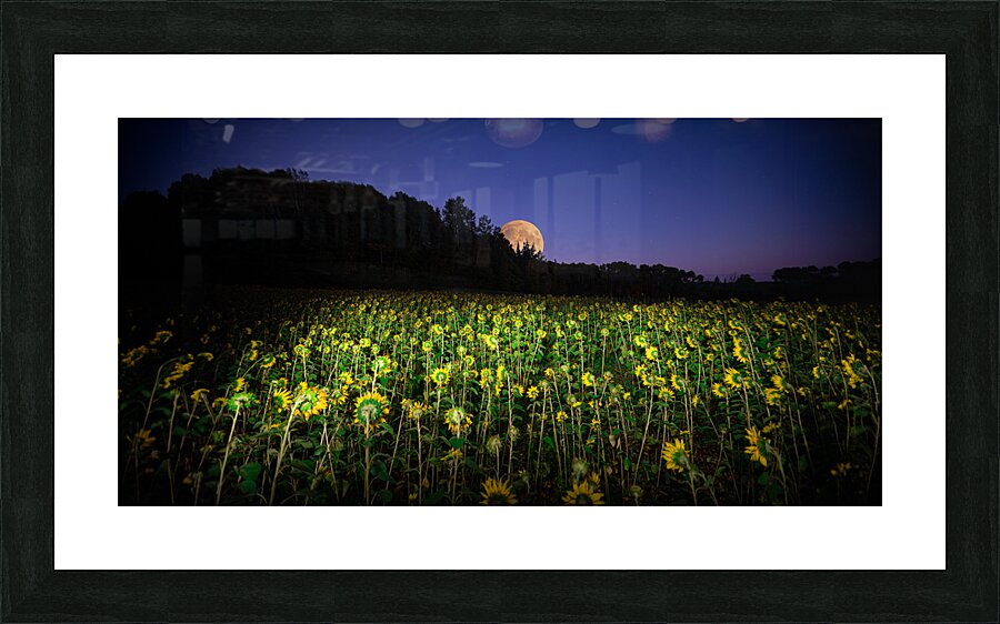 ZJS 8327  Picture Frame print