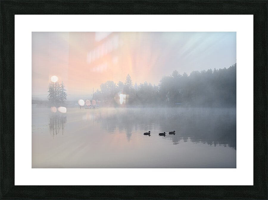 ZJS 8325  Picture Frame print