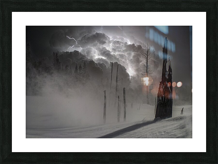 Swamp-winter Picture Frame print