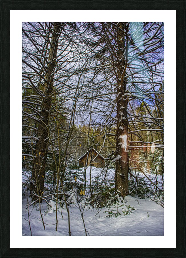 JBS 5217 Picture Frame print