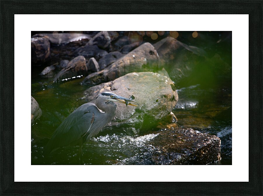 JBS 3491 2 Picture Frame print