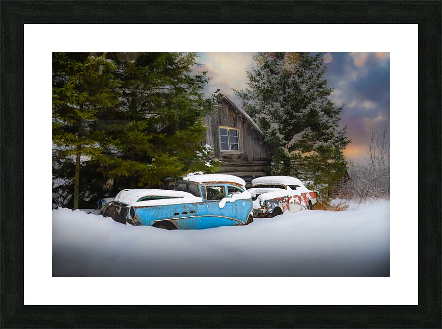 ZJS 9141  Picture Frame print