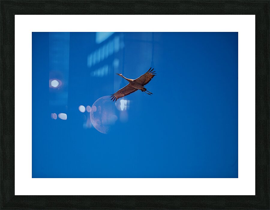 Sandhill and Moon Picture Frame print