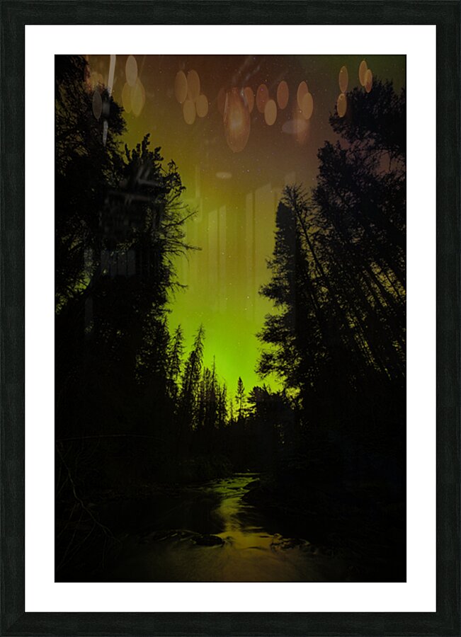 JBS 2069  Picture Frame print