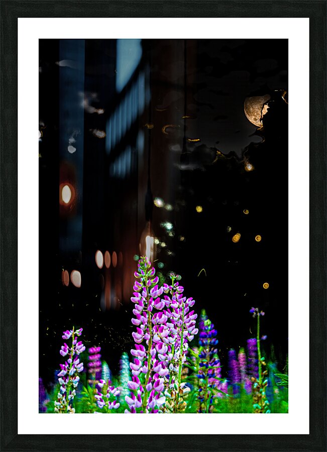 JBS 1940  Picture Frame print