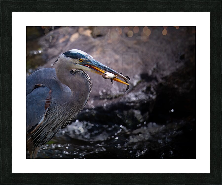 JBS 3493 2 Picture Frame print