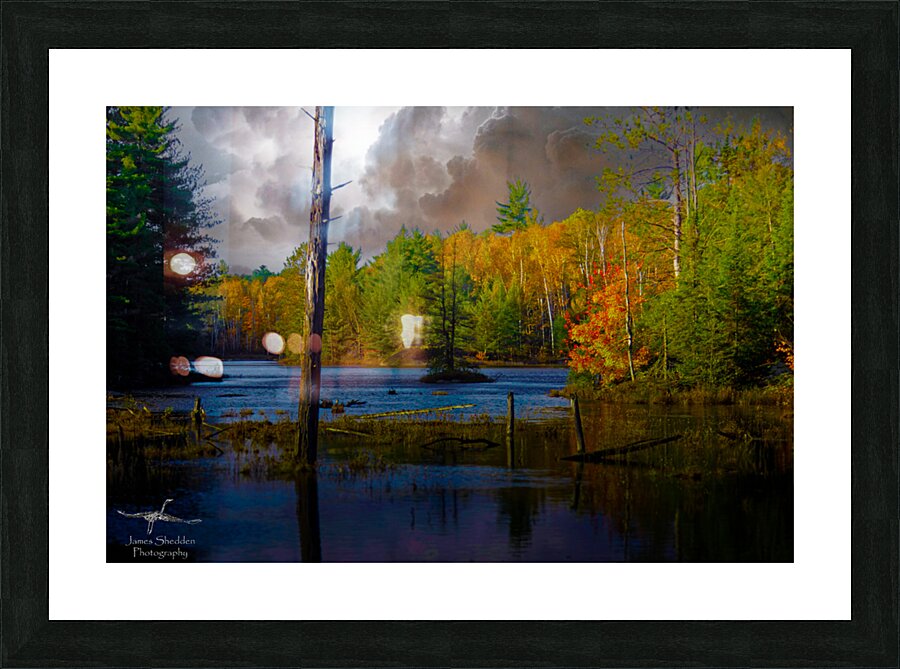  JBS4221  Picture Frame print