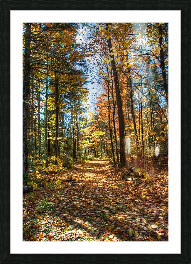 JBS 7125  Picture Frame print