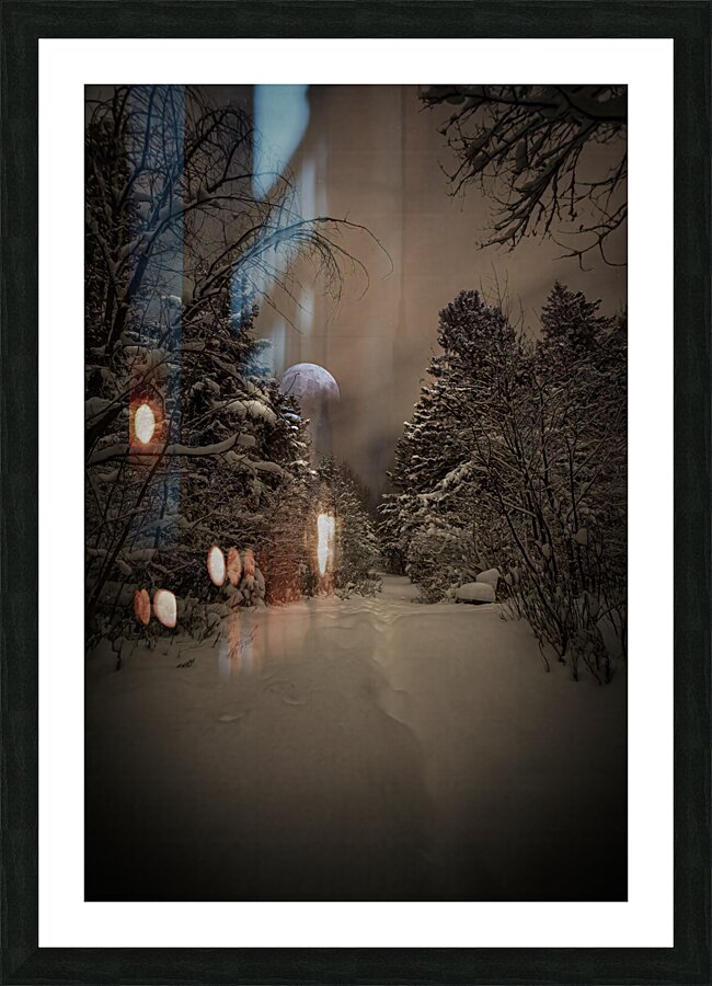 Z62 0235 2  Picture Frame print