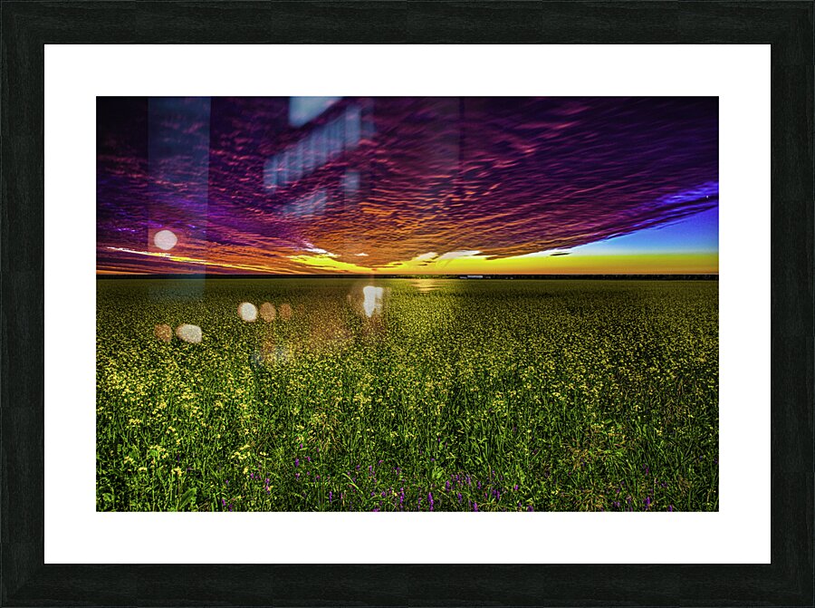 JBS 3554  Picture Frame print