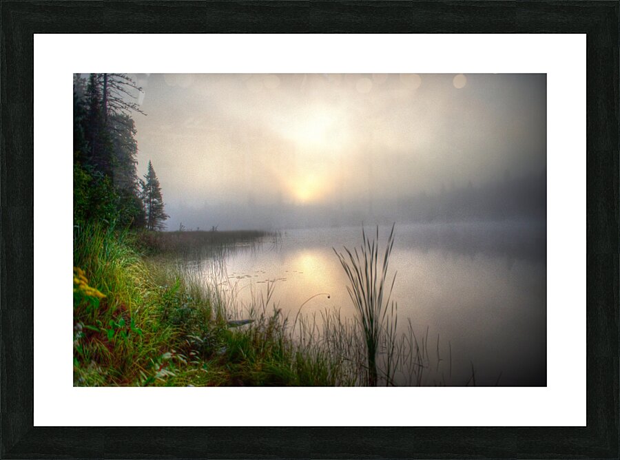 JBS 2558  Picture Frame print