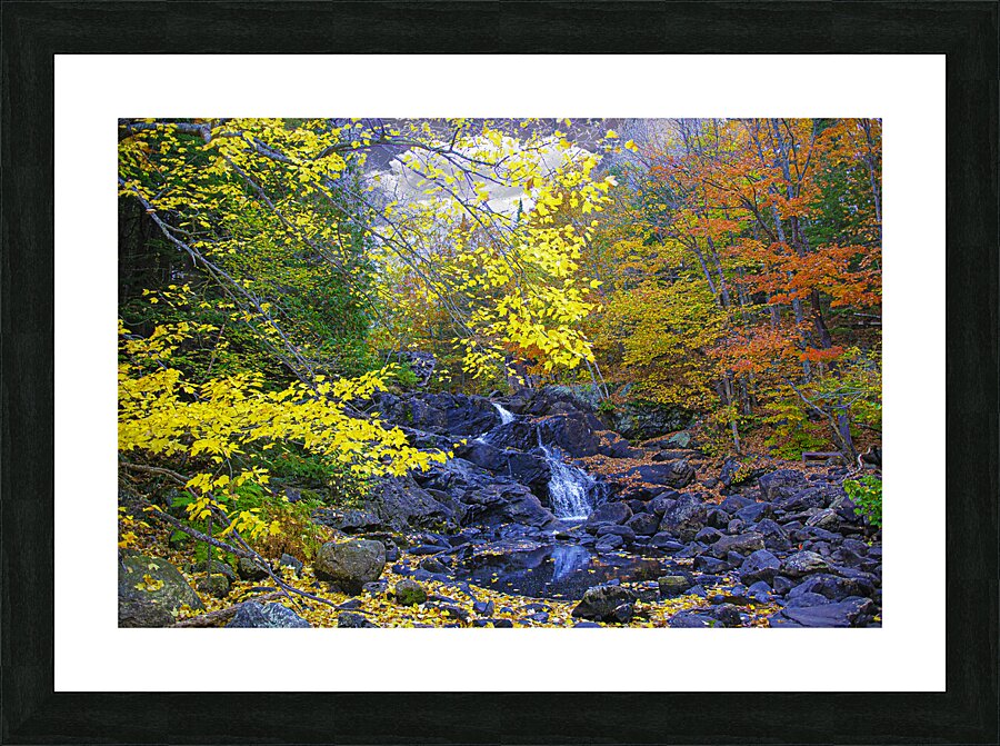 ZJS 5787  Picture Frame print