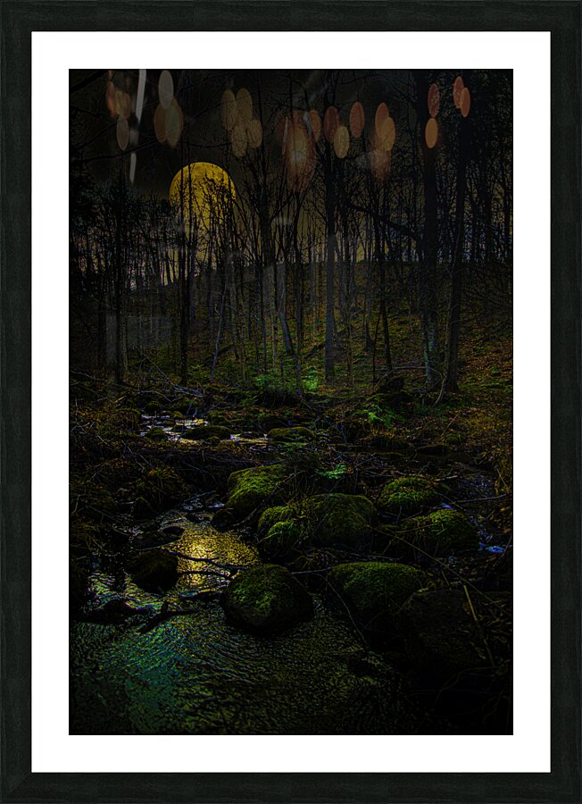 JBS 9682  Picture Frame print