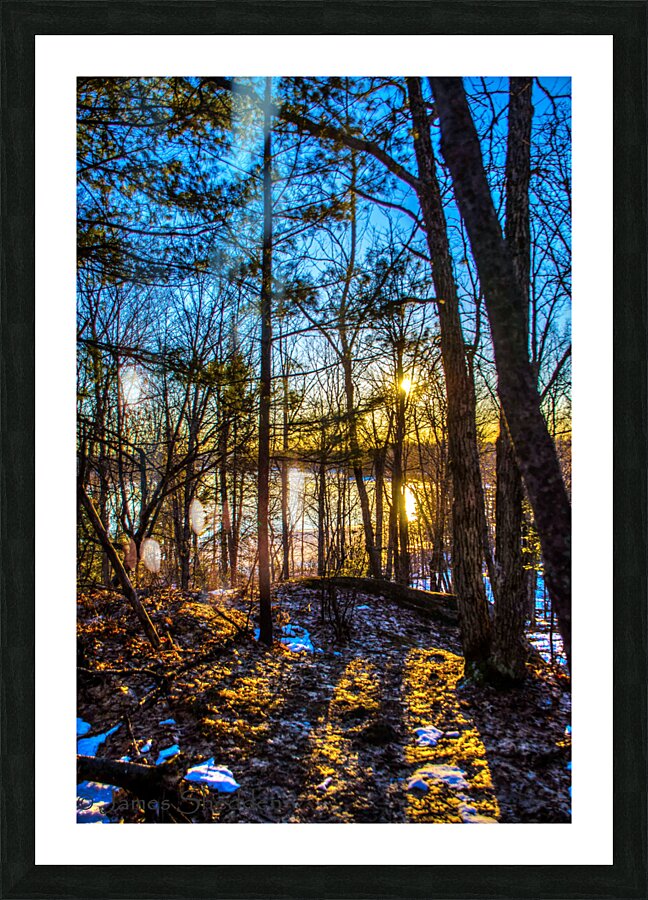 JBS 7909  Picture Frame print