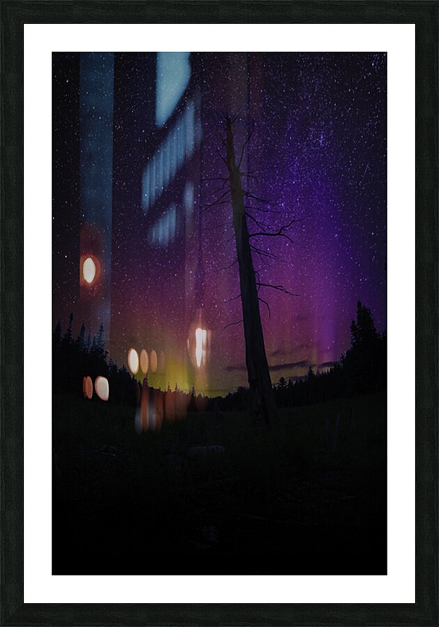 CRC 1662 Picture Frame print