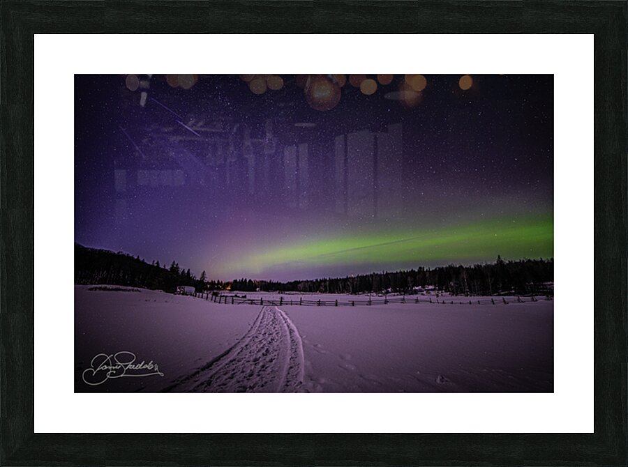 DSC 4325 Picture Frame print