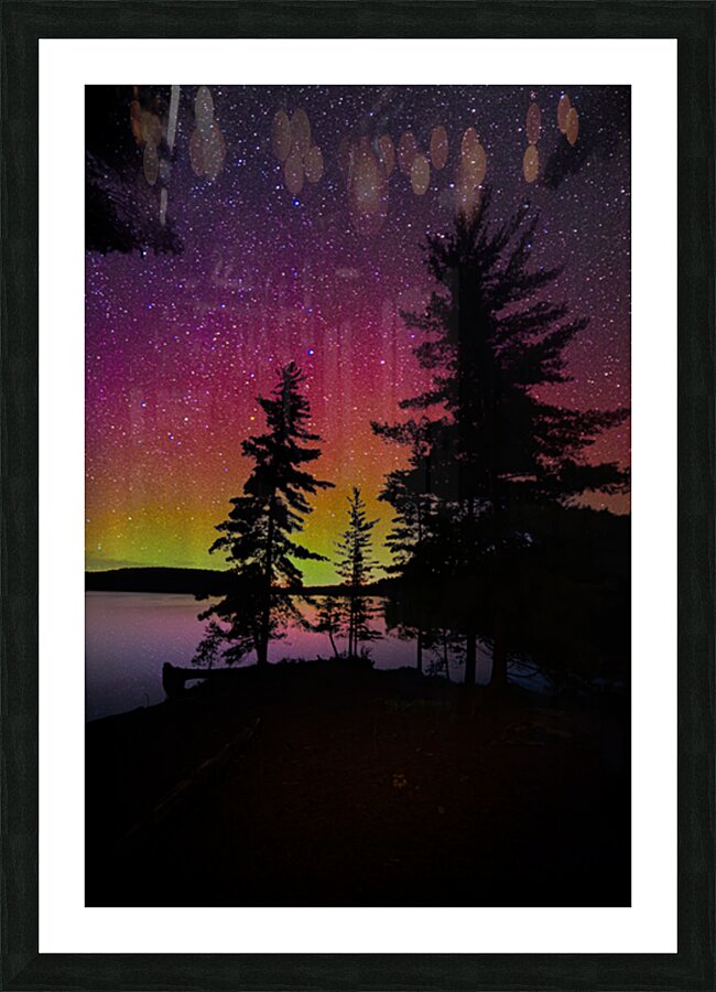 DSC 1841  Picture Frame print