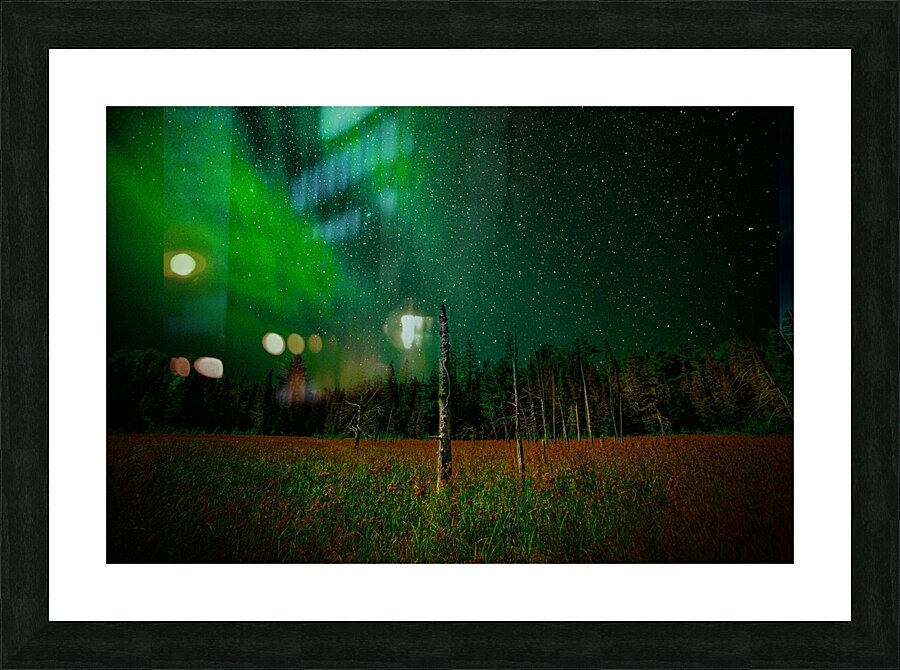 DSC 2076  Picture Frame print