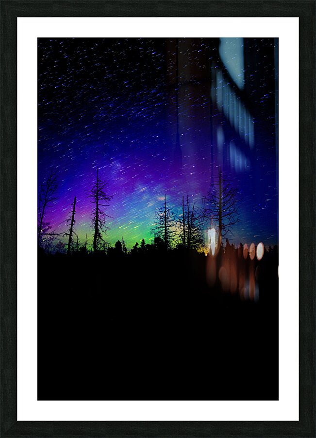 Swamp Northern Lights Picture Frame print