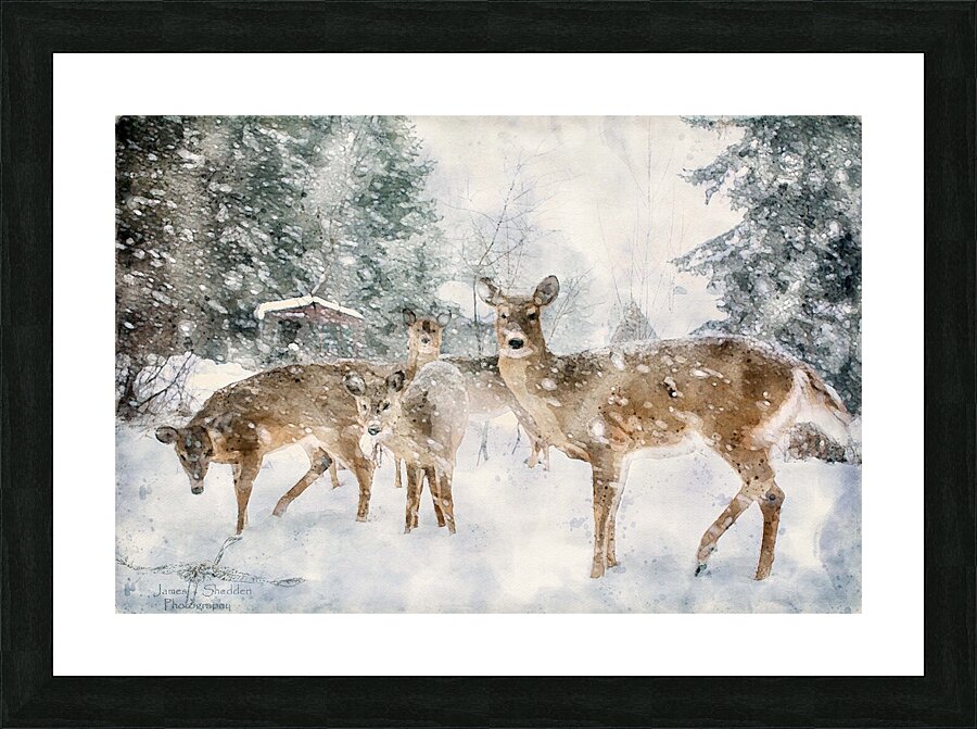 JBS 3204 2 Abstract Picture Frame print