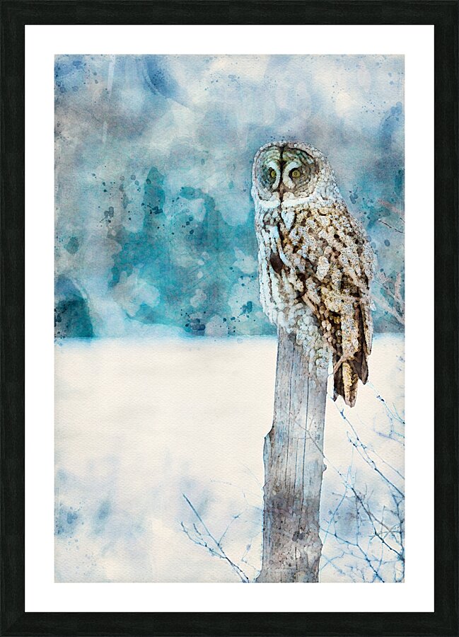 jbs 5420 owl abstract Picture Frame print