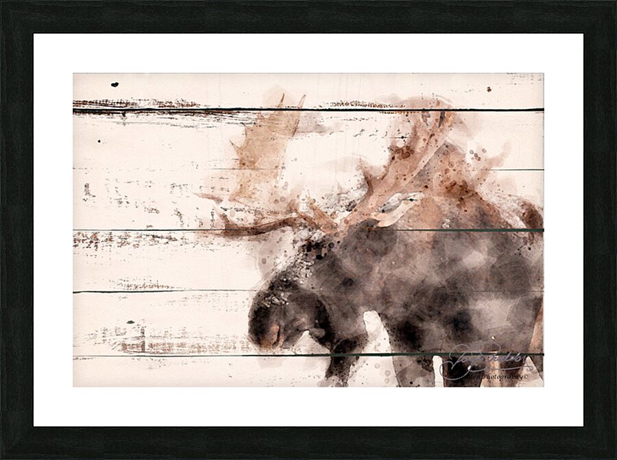 BULL MOOSE ABSTRACT Picture Frame print
