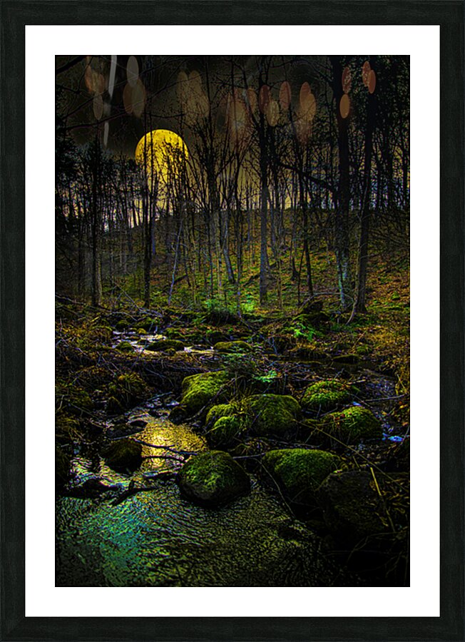 JBS 9682  Picture Frame print