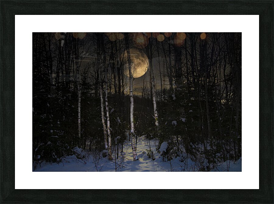 JBS 9973  Picture Frame print