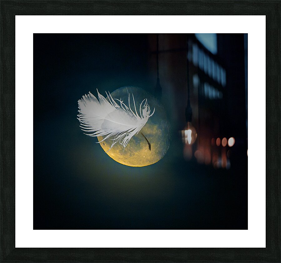 JBS 3024  Picture Frame print