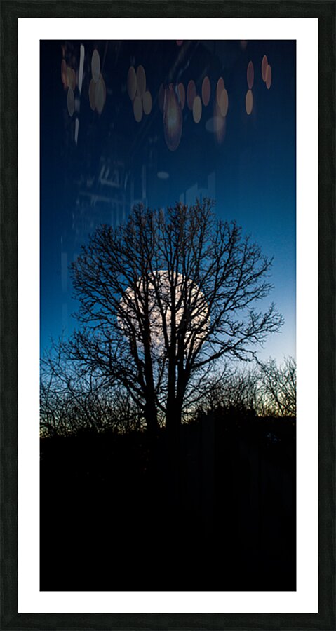 JBS 0046  Picture Frame print